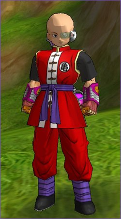 Turtle Hermit